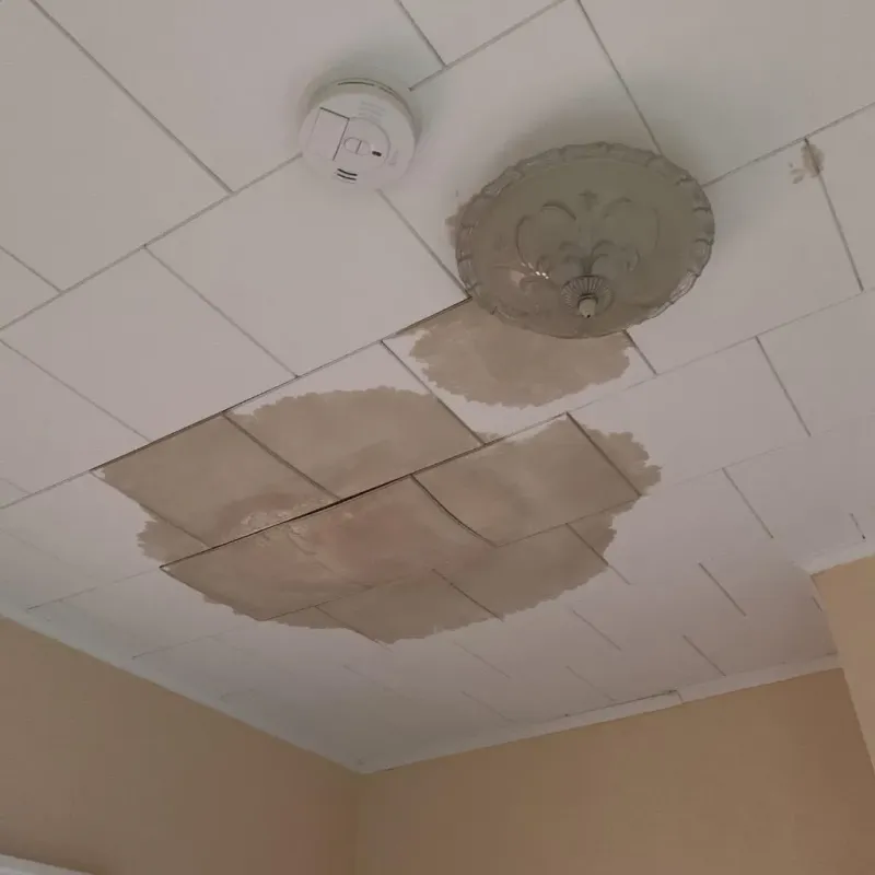 Ceiling Water Damage Repair in Siler City, NC