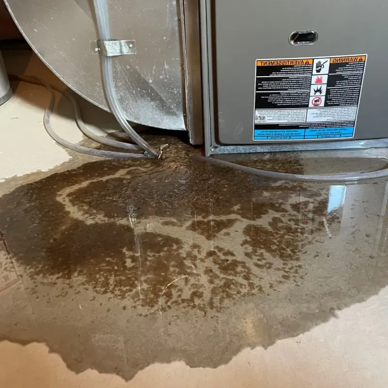 Pipe Burst and Leak Restoration in Siler City, NC