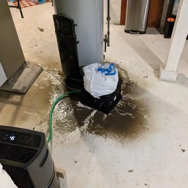 Sewage Backup Cleanup Service in Siler City, NC